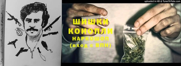 прущие грибы Чегем