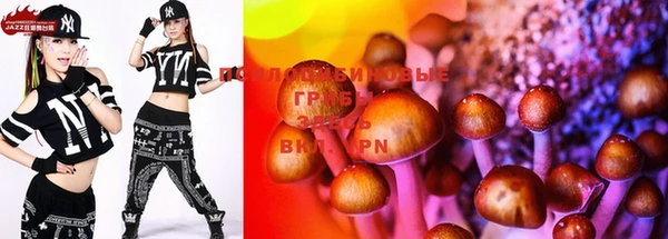 прущие грибы Чегем