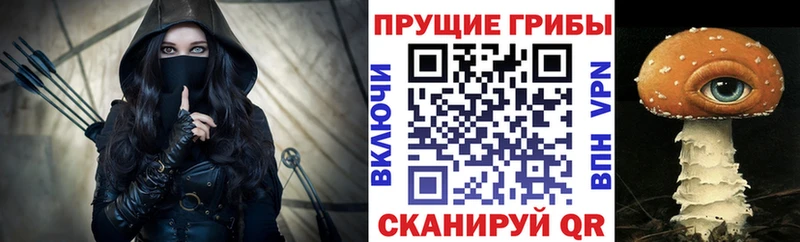 Псилоцибиновые грибы Psilocybine cubensis  Купить  Сычёвка 